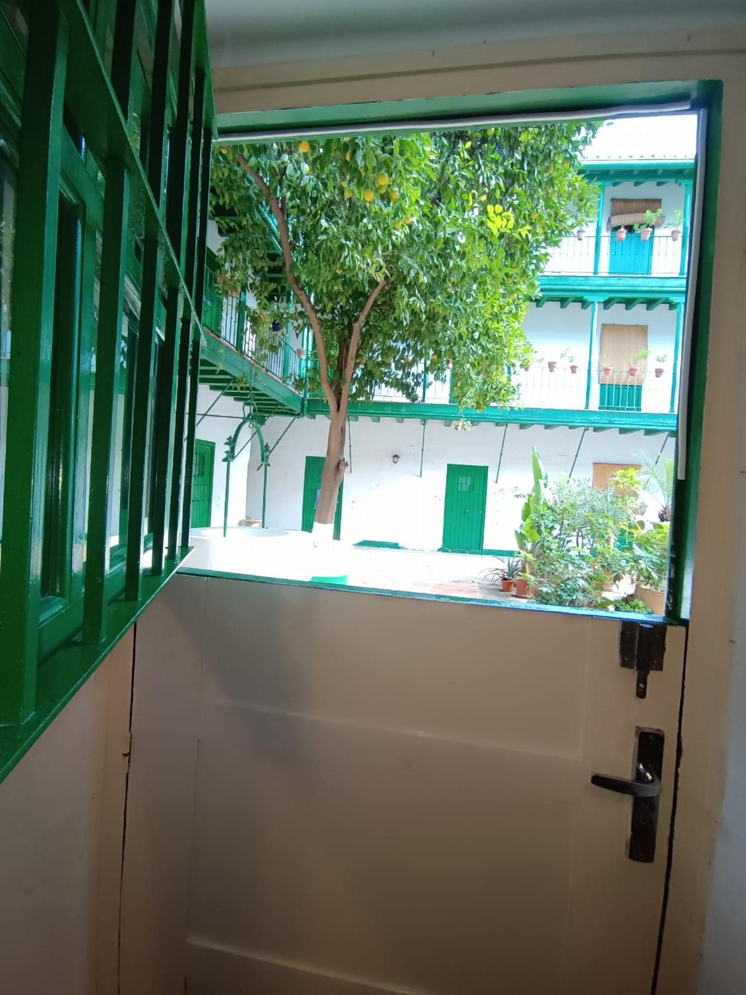 La Puerta Verde De Las Setas De Sevilla Eksteriør bilde